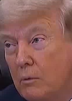Face