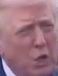 Representative face
