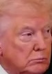 Representative face