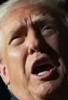 Representative face