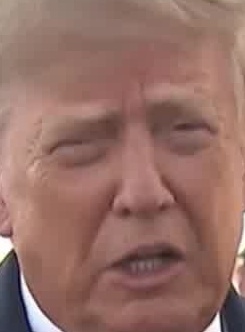 Face