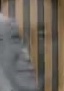Representative face