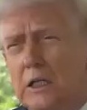 Representative face