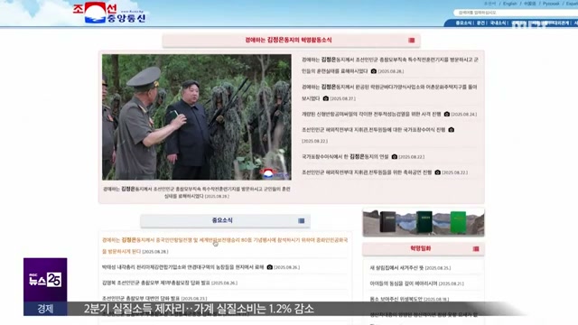 Snapshot at 65.5s