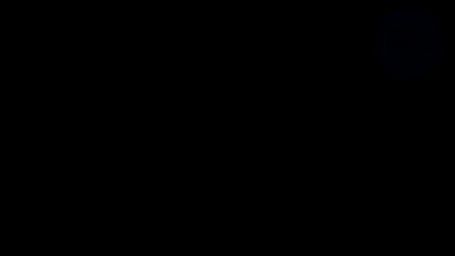 Snapshot at 0.0s