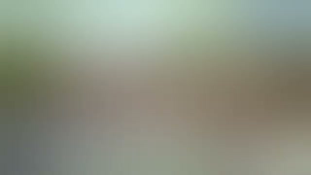 Snapshot at 1008.0s