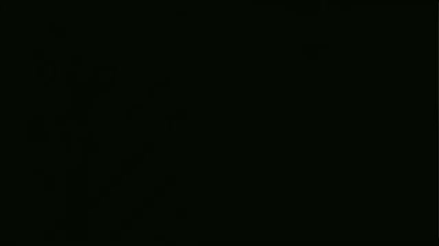 Snapshot at 0.0s