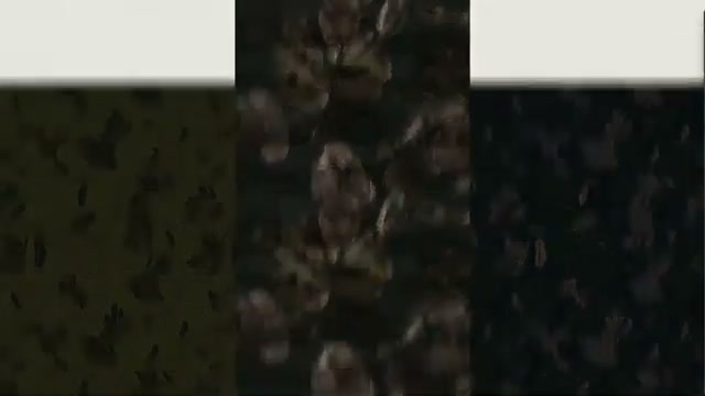 Snapshot at 545.0s