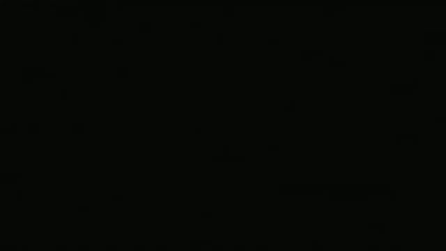 Snapshot at 0.0s