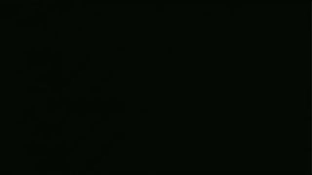 Snapshot at 0.0s